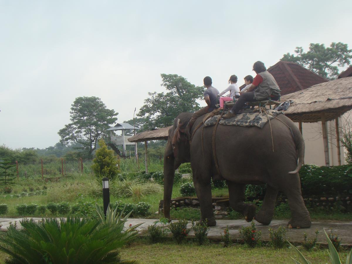 มูซา จังเกิล รีทรีต Hotel Kumguri ภายนอก รูปภาพ
